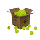 Nivia Tournament Outdoor Pickleball Ball - Official Competition Ball  (PACK OF 50)